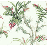 Enchanted Fern Wallpaper