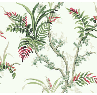 Enchanted Fern Wallpaper