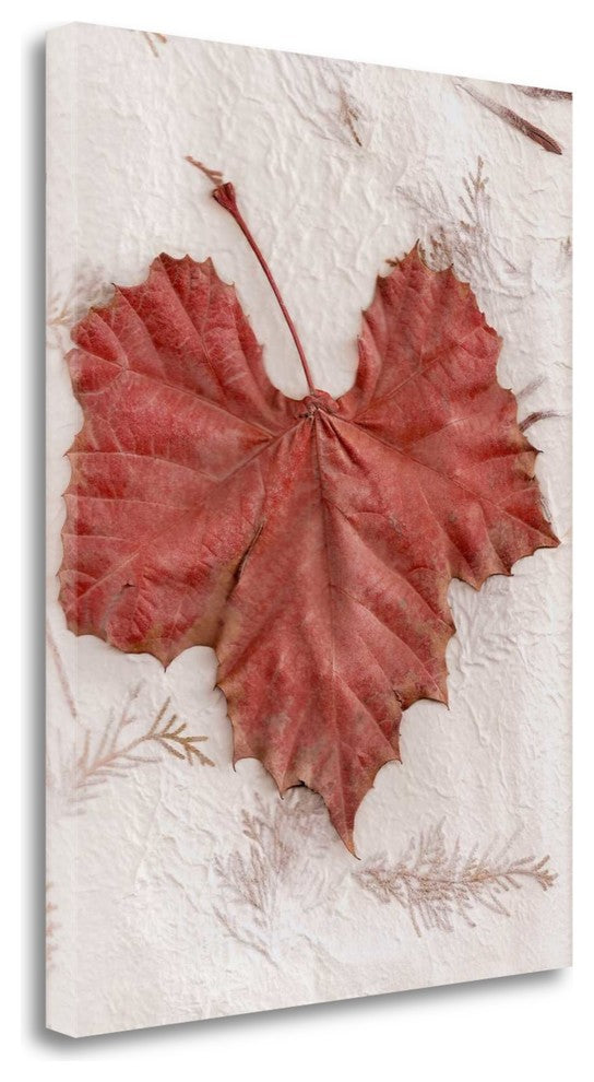 "Floral - 31" By Alan Blaustein, Giclee Print on Gallery Wrap Canvas