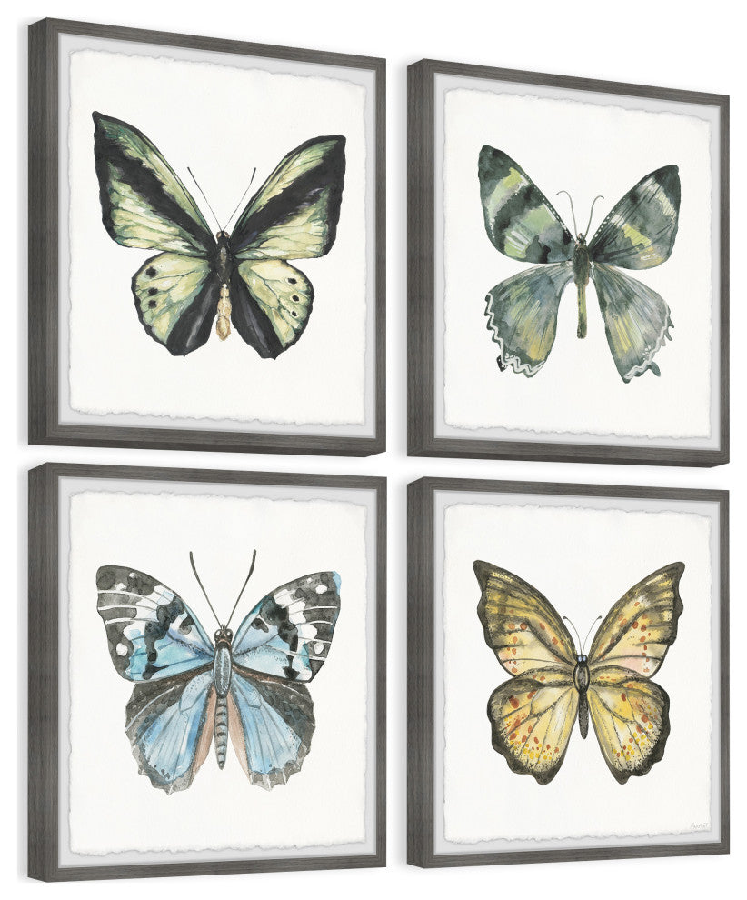 Fly Like a Butterfly Quadriptych, Set of 4, 24x24 Panels