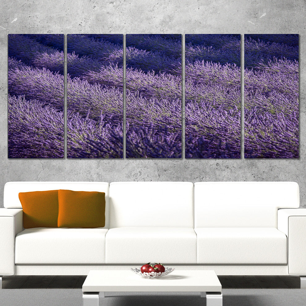 "Lavender Field and Ray of Light" Landscape Wall Art Print, 5 Panels, 60"x28"