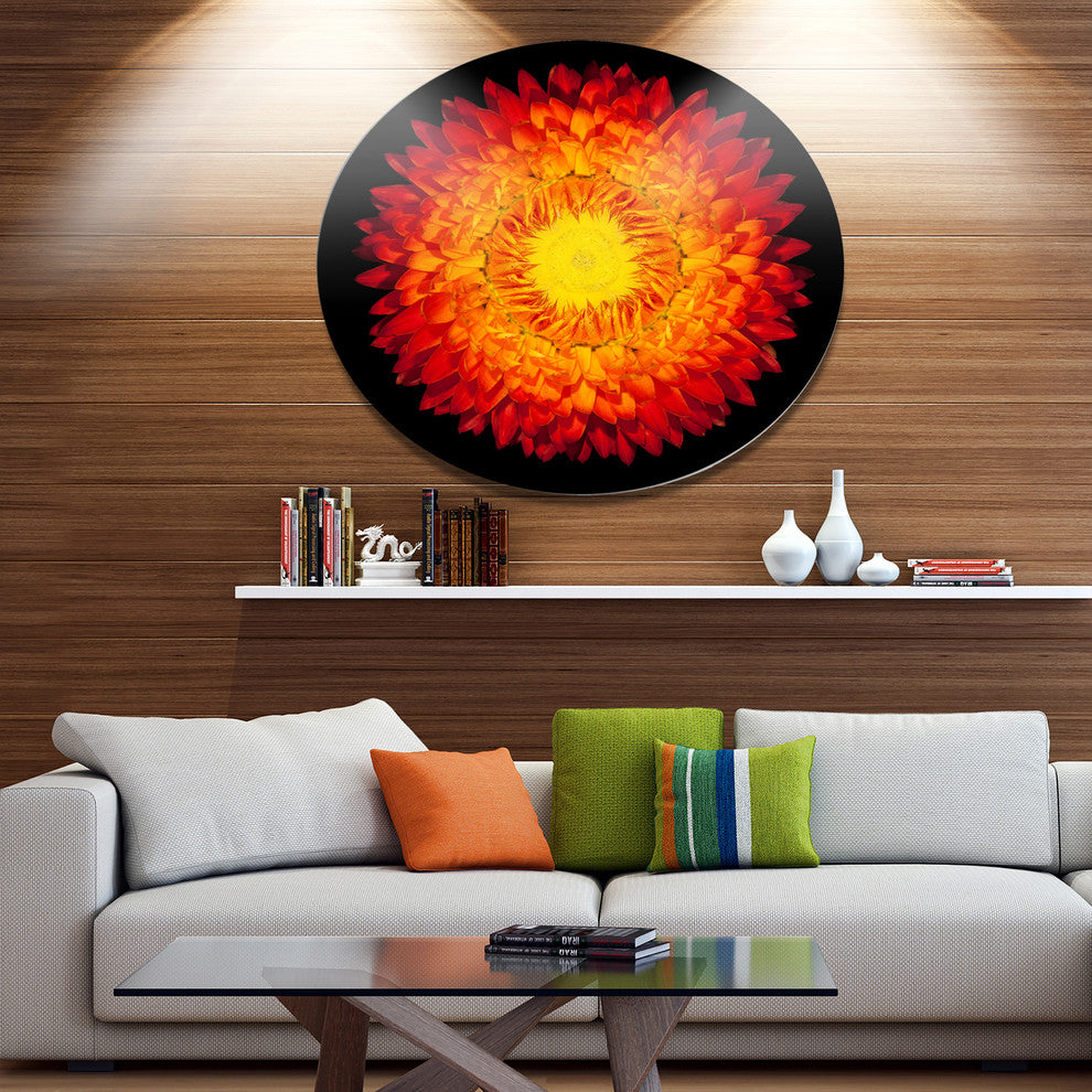 Everlasting Straw Flower On Black, Flowers Round Wall Art, 11"
