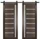 Double Barn Door 48 x 96 Frosted Glass, Quadro 4088 Chocolate Ash, 13' Rail