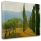 "Cypress Shadows" By Lars Van De Goor, Giclee Print on Gallery Wrap Canvas