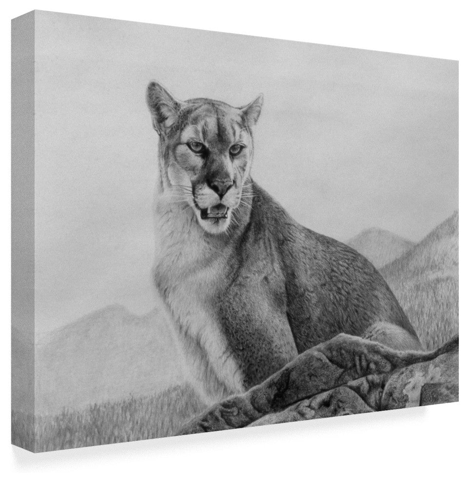 Rusty Frentner 'Cougar Study' Canvas Art, 47"x35"