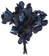 Vickerman Natural Botanicals 18-20" x 8" Eucalyptus Populus, 100 grams per unit