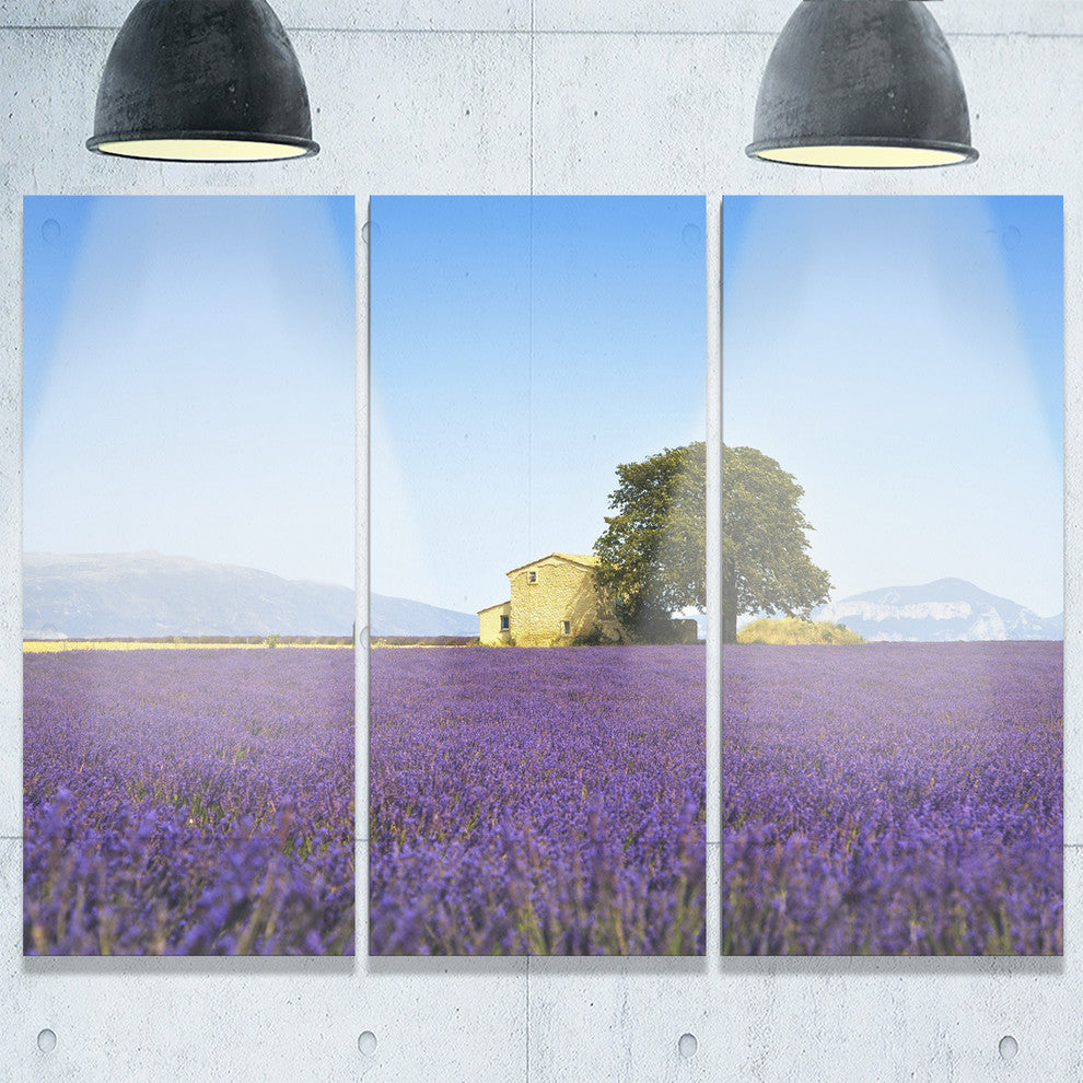 "Lavender Flowers Blooming Field" Metal Wall Art, 3 Panels, 36"x28"