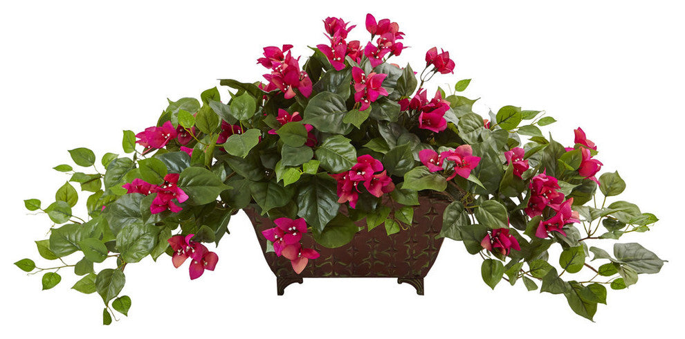 Bougainvillea In Metal Planter, Beauty