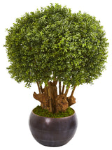 38" Boxwood Artificial Topiary Tree in Decorative Bowl, Indoor/Outdoor