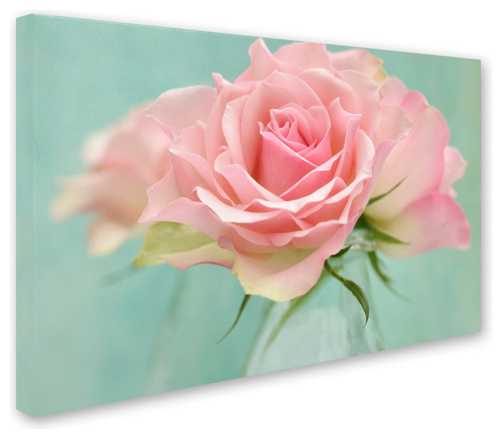 Cora Niele 'Pink Roses' Canvas Art