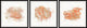 Smoke of Deceit Triptych, 3-Piece Set, 24x24 Panels