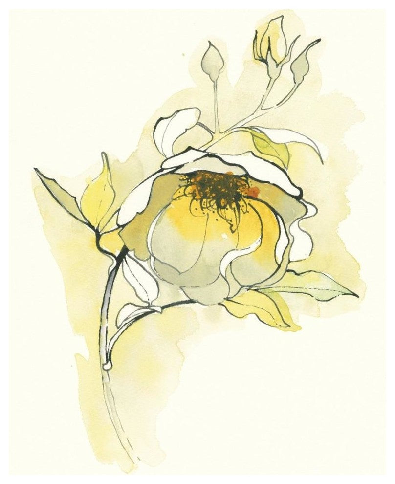 "Carols Roses V" Digital Paper Print by Shirley Novak, 26"x34"