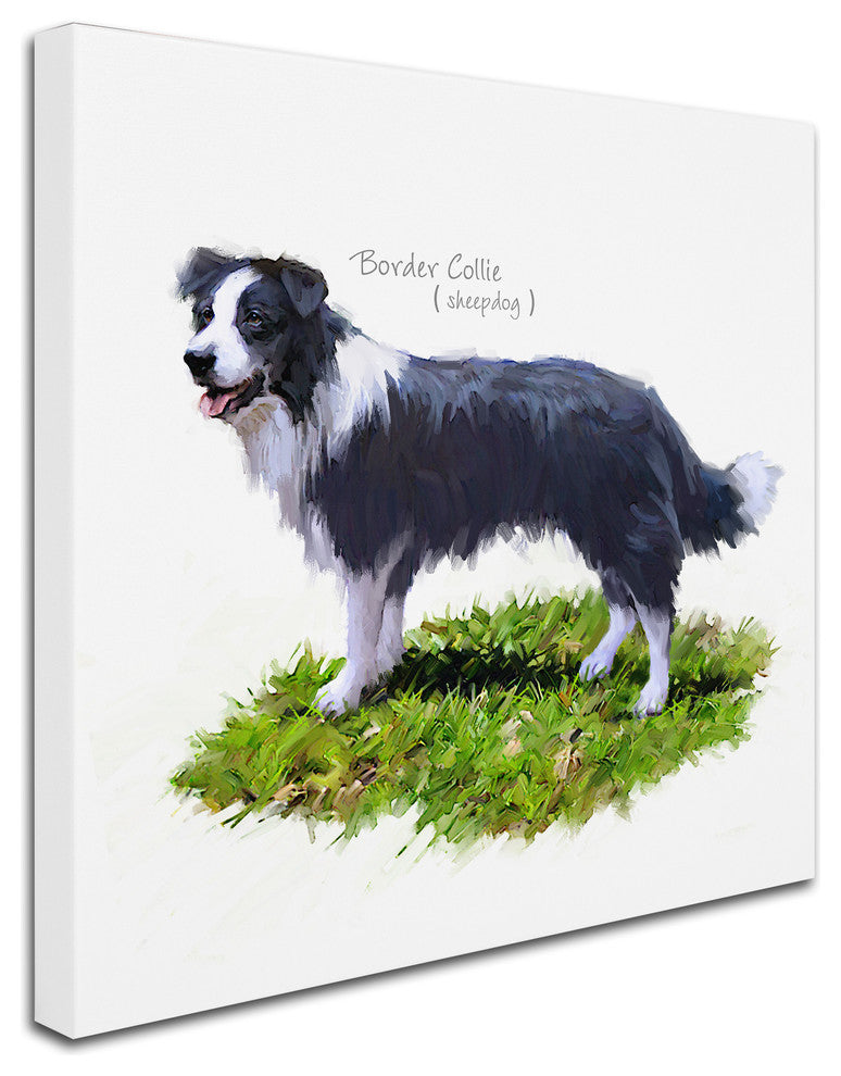 The Macneil Studio 'Border Collie' Canvas Art, 18"x18"