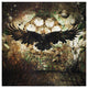 Contemporary Photographic Artwork | Andrew Martin Raven, 47" X 47"