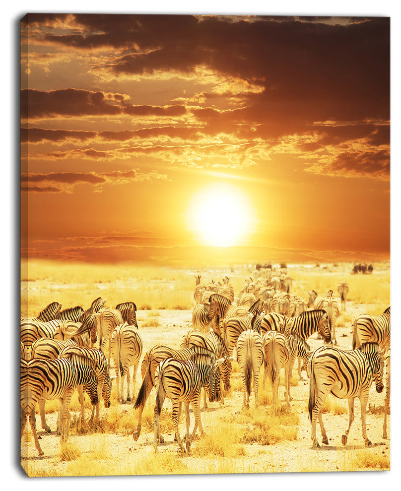 Wandering Herd of Zebra At Sunset, African Canvas Art Print, 30"x40"