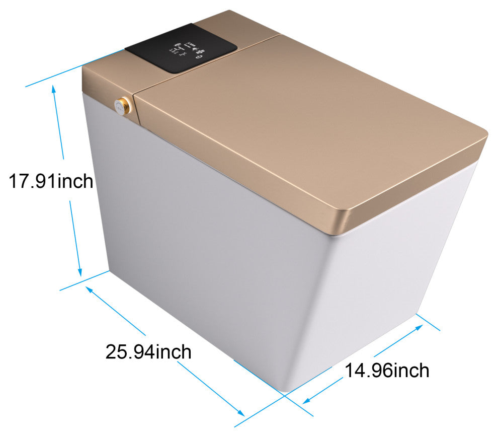 Smart Bidet Toilet with Siphon Jet Flush, Remote Control/ Side Control Knob, Golden