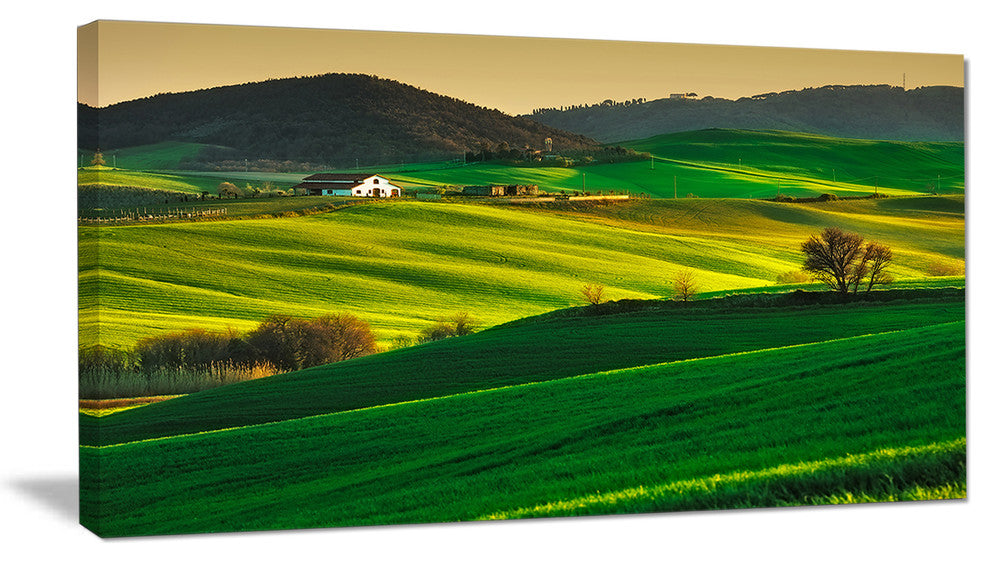 Trees and Farmland Near Volterra, Extra Large Landscape Canvas Art, 32"x16"