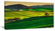 Trees and Farmland Near Volterra, Extra Large Landscape Canvas Art, 32"x16"