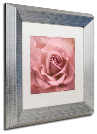 Cora Niele 'Misty Rose Pink Rose' Matted Framed Art
