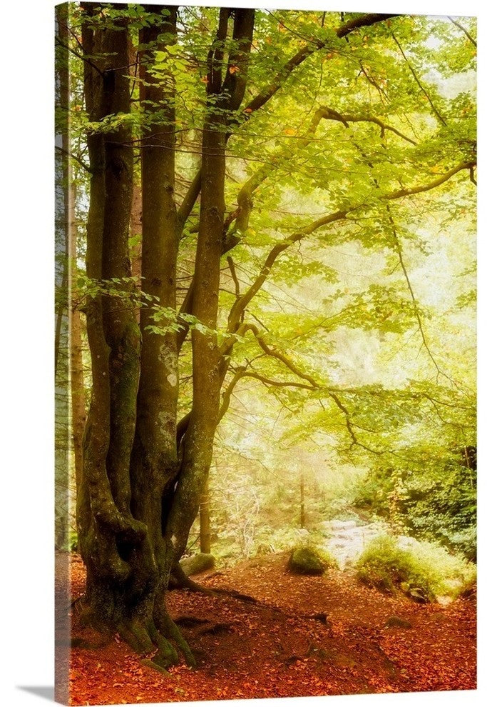 "All Alone" Wrapped Canvas Art Print, 24"x36"x1.5"