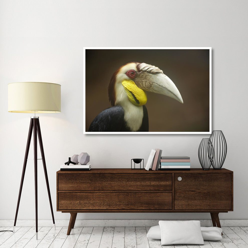 "Wreathed Hornbill male, Malaysia" Print by Tim Fitzharris, 62"x42"