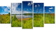 Ideal Summer Meadow Panorama, Landscape Canvas Art Print, 60"x32", 5 Panels