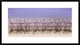 "Comrades In Color" Framed Digital Print by Ahmed Thabet, 38x21"