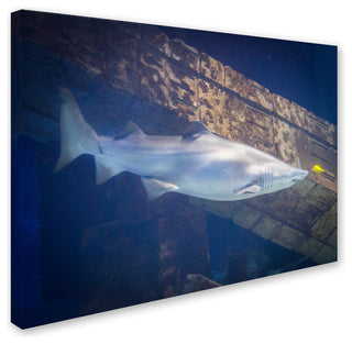 "and You Are" Canvas Art by Yale Gurney, 19"x14"