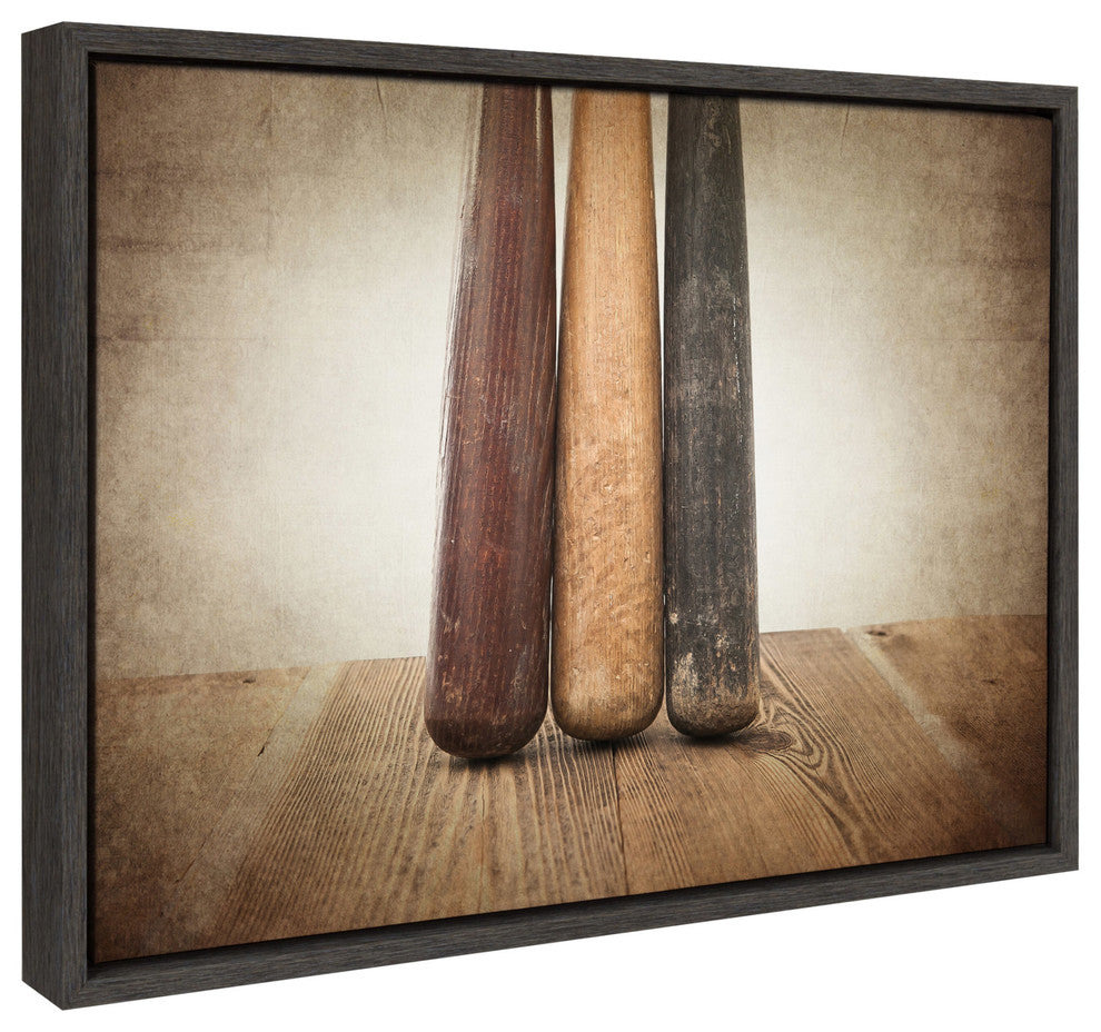 Sylvie Three Vintage Bats Framed Canvas by Shawn St. Peter, Gray 18x24