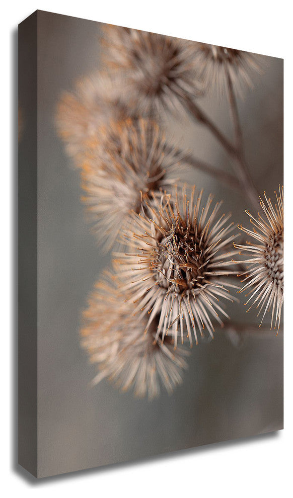 Avantgarde by Design Fabrikken, Print on Canvas, 20"x28"
