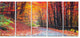 Road in Beautiful Autumn Forest, Modern Forest Canvas Art, 60"x28", 5 Panels