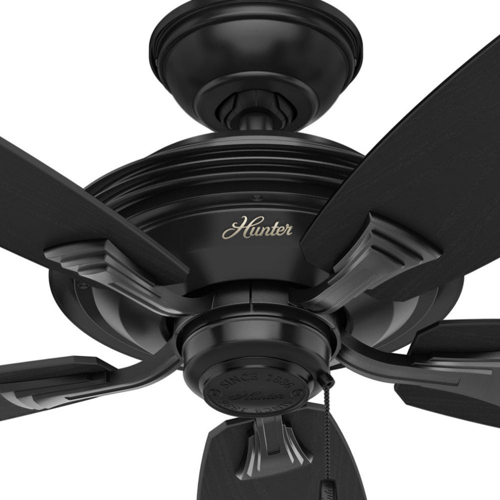 Hunter Fan Company 52" Rainsford Matte Black Ceiling Fan