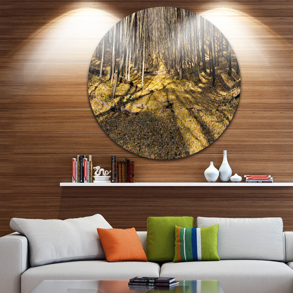 Majestic Autumn Forest Panorama, Landscape Disc Metal Artwork, 23"