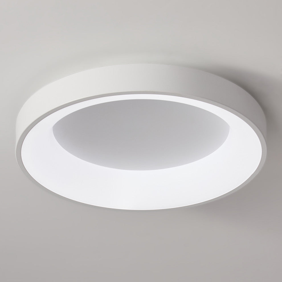 Acrylic LED Round Flush Mount Ceiling Light, 23.62 in