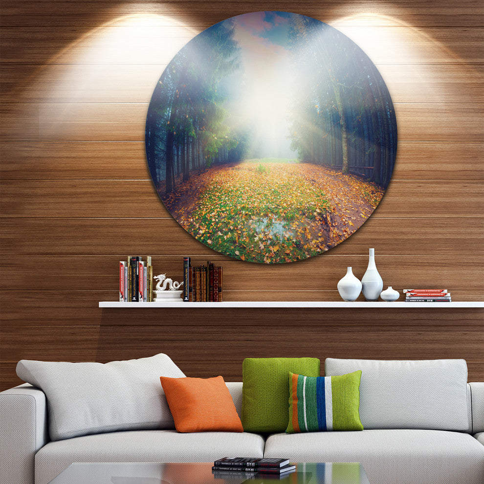 Rising Sun Over Arched Forest, Landscape Photo Round Metal Artwork, 11"