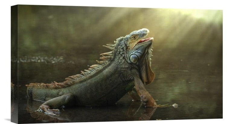 "Morning Light" Stretched Canvas Giclee by Fahmi Bhs, 16x9"