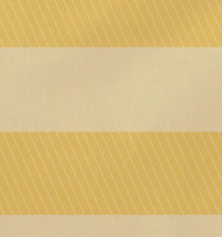 Windward Stripes Print Placement, Lemon, Set of 4
