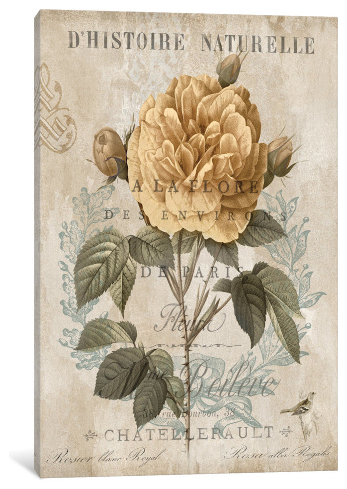 "Botanique II" by Deborah Devellier, Canvas Print, 40"x26"
