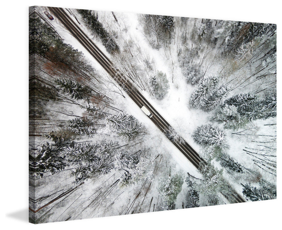 "Icy Forest" Print on Canvas by Karolis Janulis