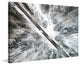 "Icy Forest" Print on Canvas by Karolis Janulis