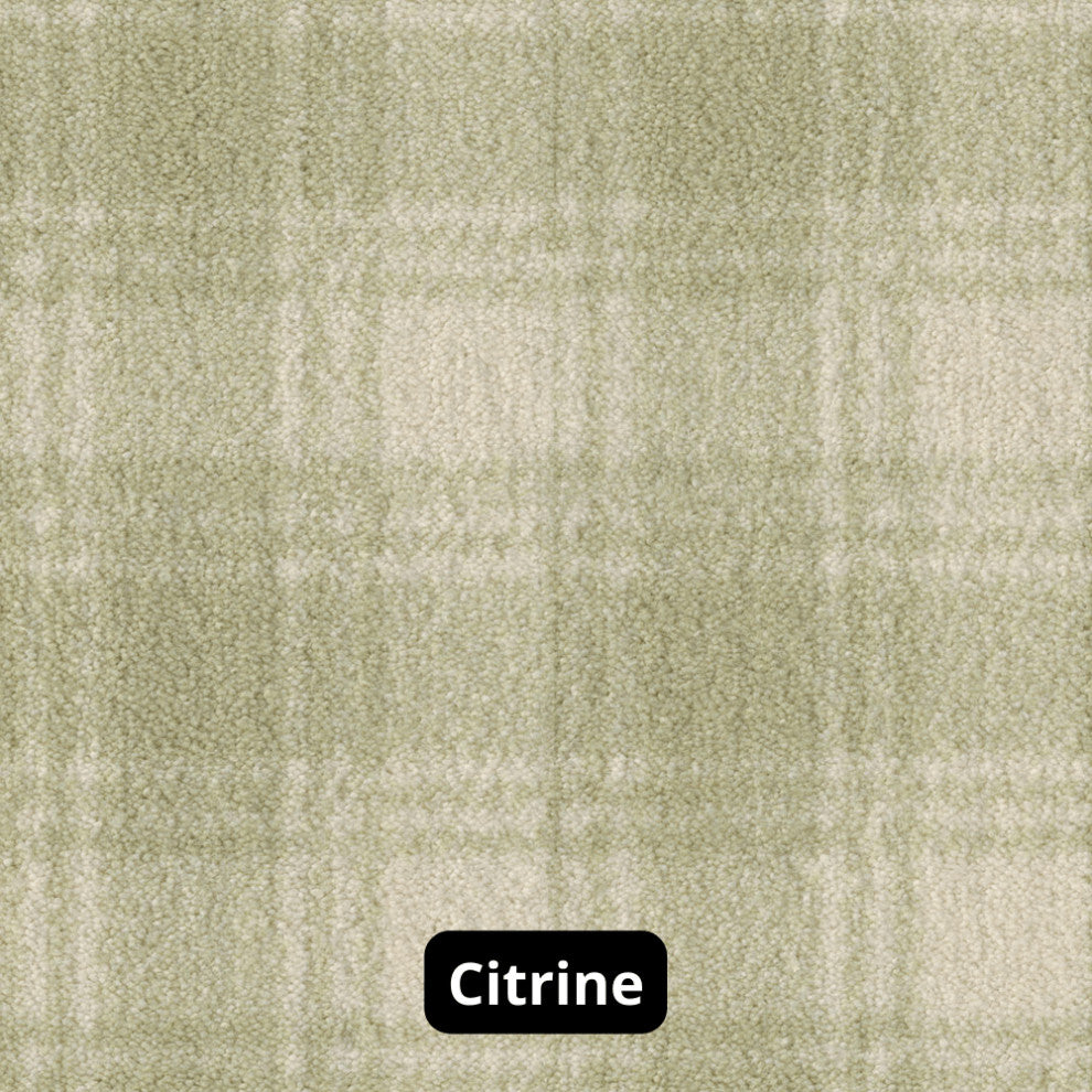 Pastel Colors 3/8 Thick Indoor Area Rug Carpet, Citrine, 4x8