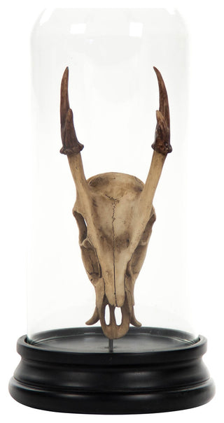 Deer Skull Statue With Cover