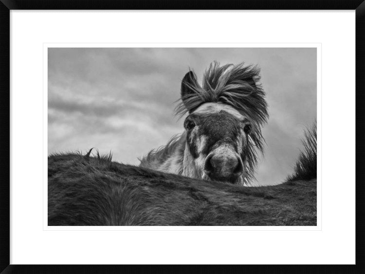"Hi!" Framed Digital Print by Brin Ingibergsson-Bragi, 30x22"