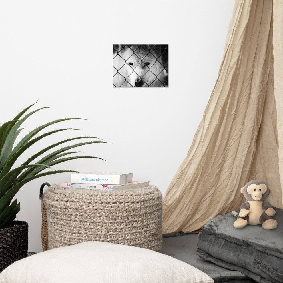 Dreams of Freedom Black & White Wildlife Photo (Wolf) Unframed Wall Art Print, 8" X 10"