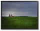 Bunny Couple Family Animal Landscape Photo, 24"x30"