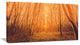 "Sunrise in a Forest With Tall Trees" Landscape Canvas Photo Print, 32"x16"