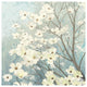 "Dogwood Blossoms I" Digital Paper Print by James Wiens, 38"x38"