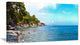 "Wild Blue Beach Panorama View" Seashore Wall Art, 32"x16"