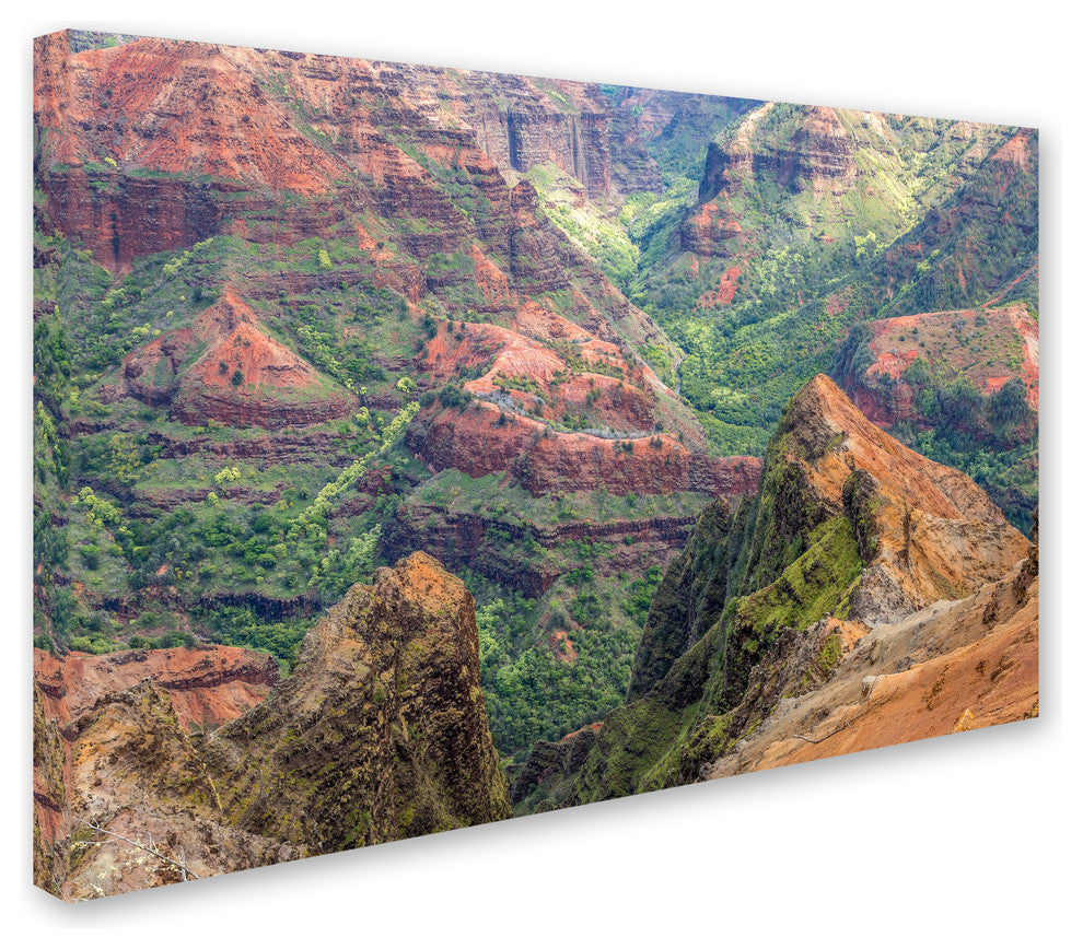 Pierre Leclerc 'Waimea Canyon' Canvas Art, 19x12
