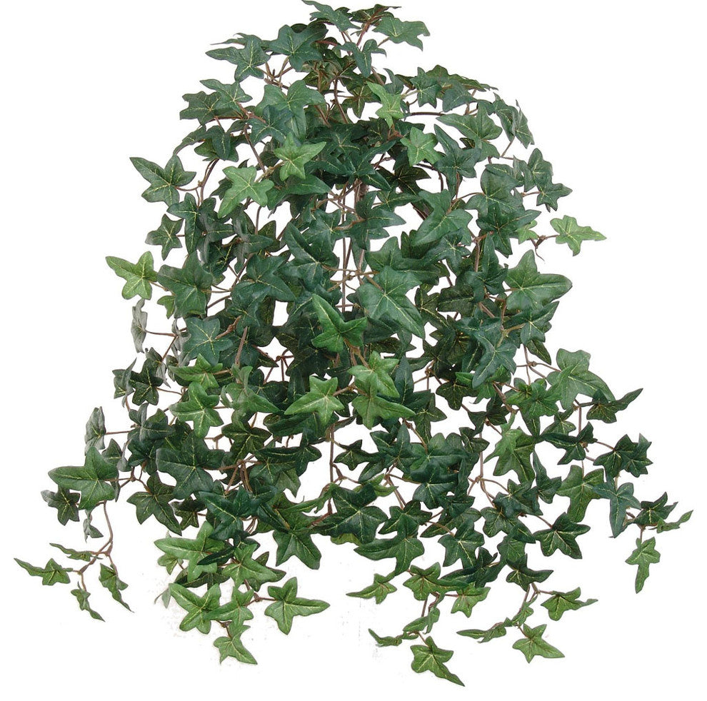 Silk English Ivy Hanging Bush 20" w 274 Mini Ivy Lvs, Set of 12 Silk House Plant